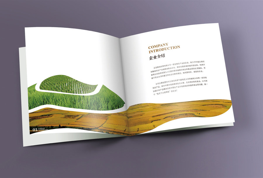 集团公司画册设计注意事项 如何进行集团公司画册设计